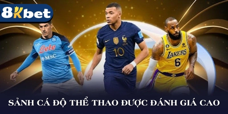 Sảnh cá độ thể thao được cộng đồng đánh giá cao